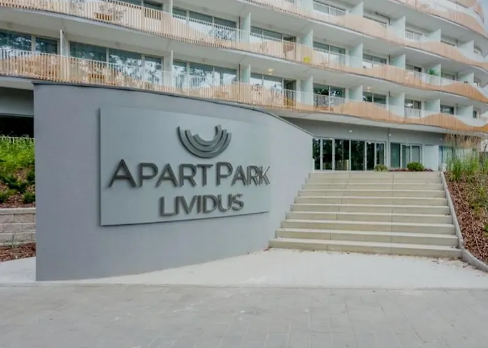 Lividus Czarna Mewa